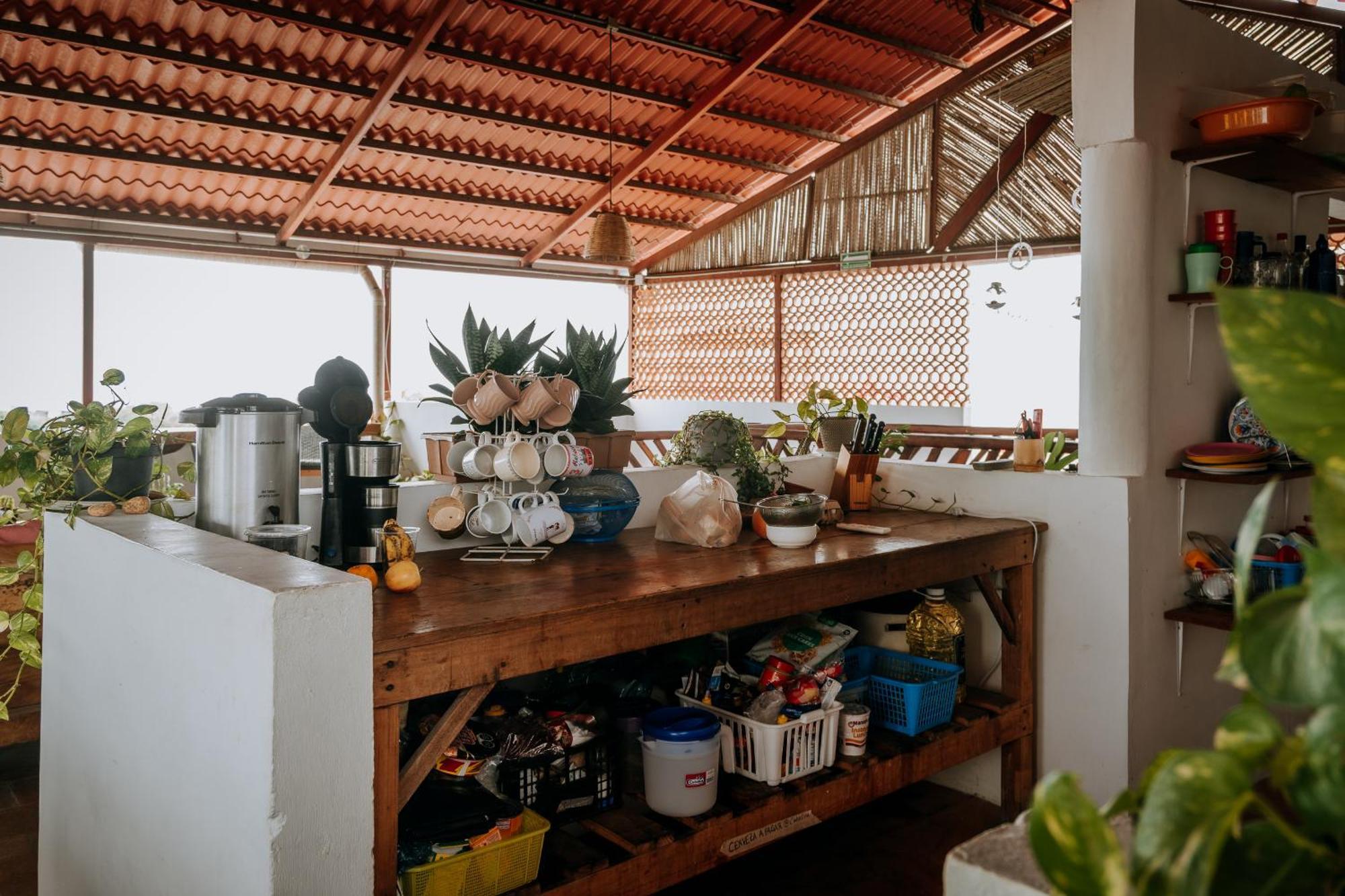 Terraza Puerto Hostel Puerto Escondido  Eksteriør bilde